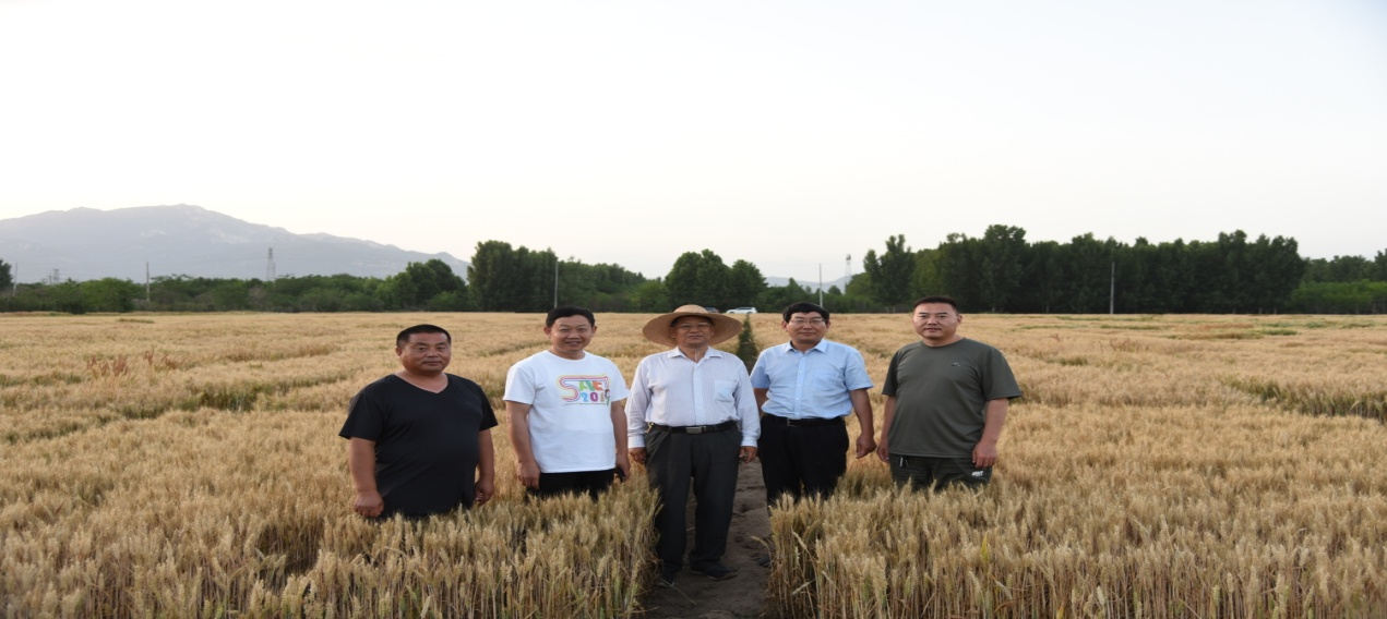 天泰4.png 天泰4.png