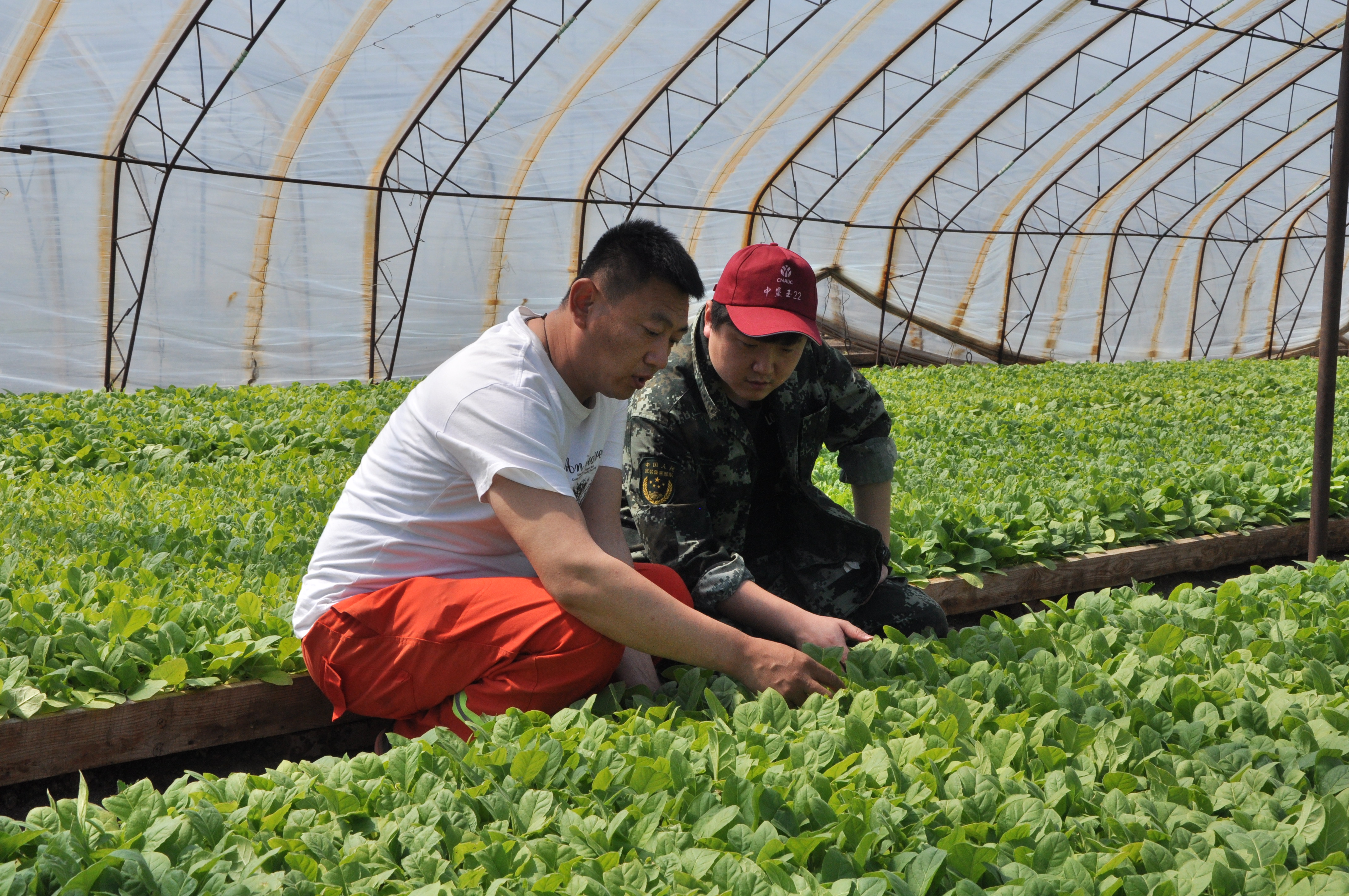 牡丹江田庆山3.jpg 牡丹江田庆山3.jpg