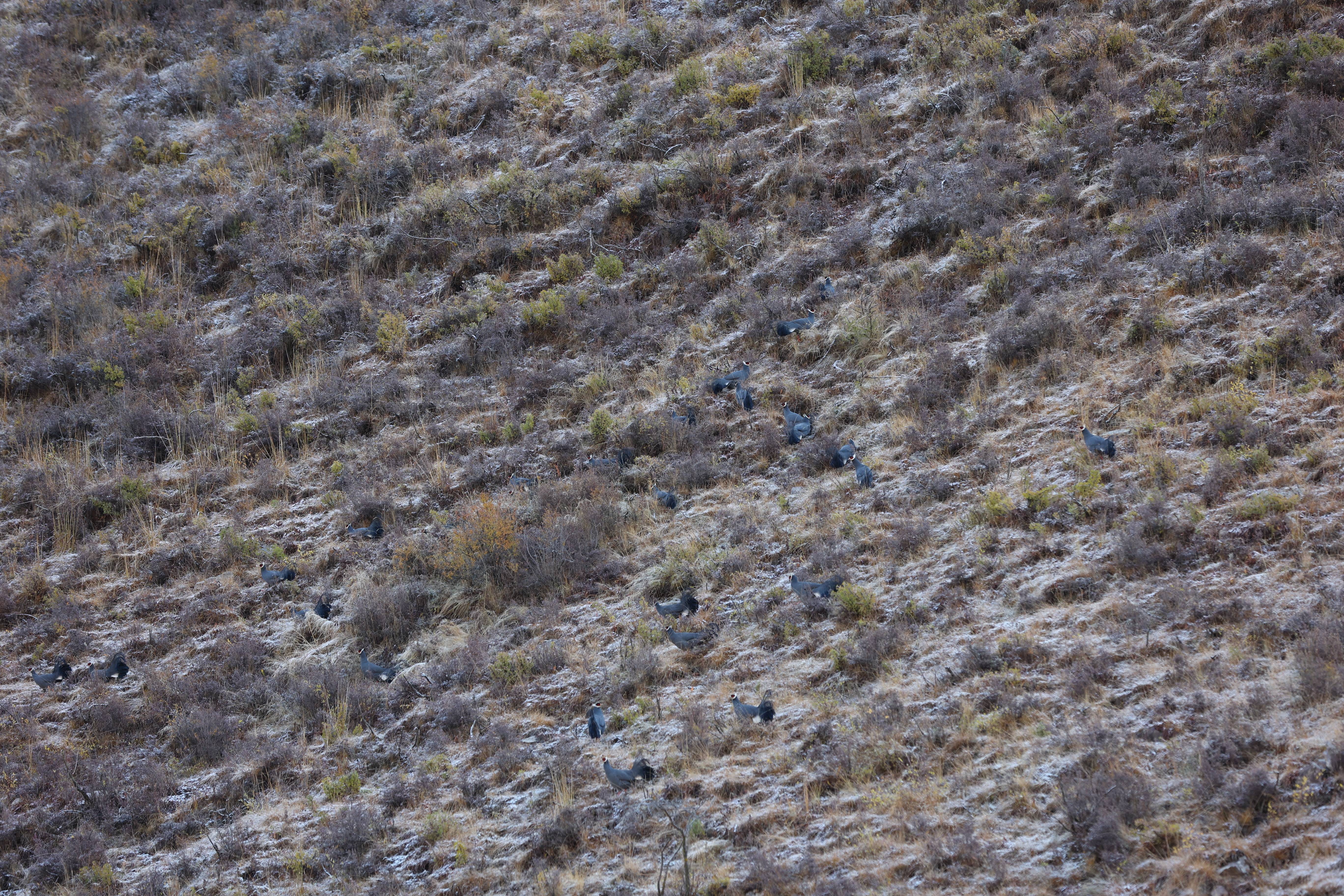 IMG_9060(1).jpg IMG_9060(1).jpg