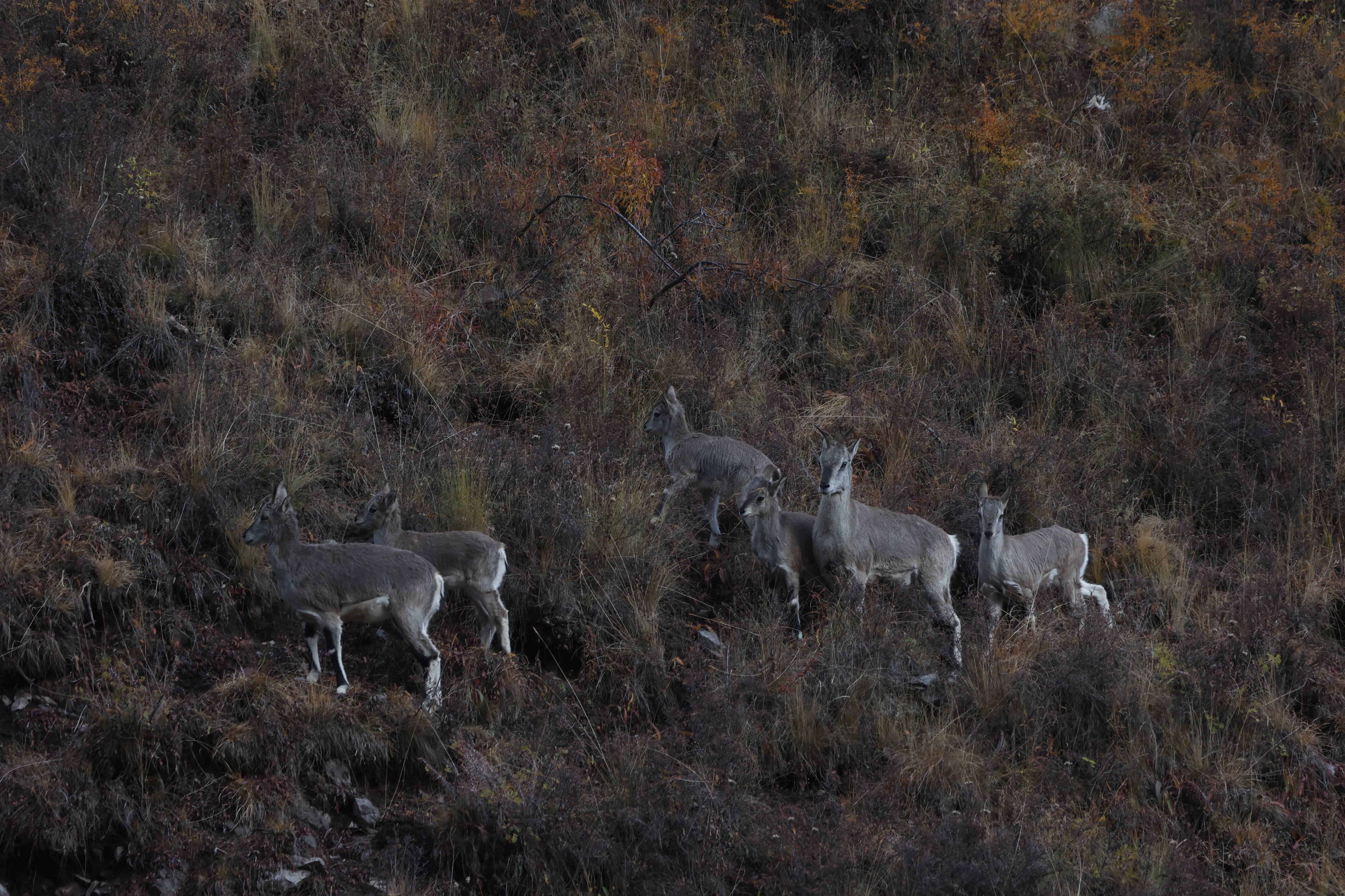 IMG_9052(1).jpg IMG_9052(1).jpg