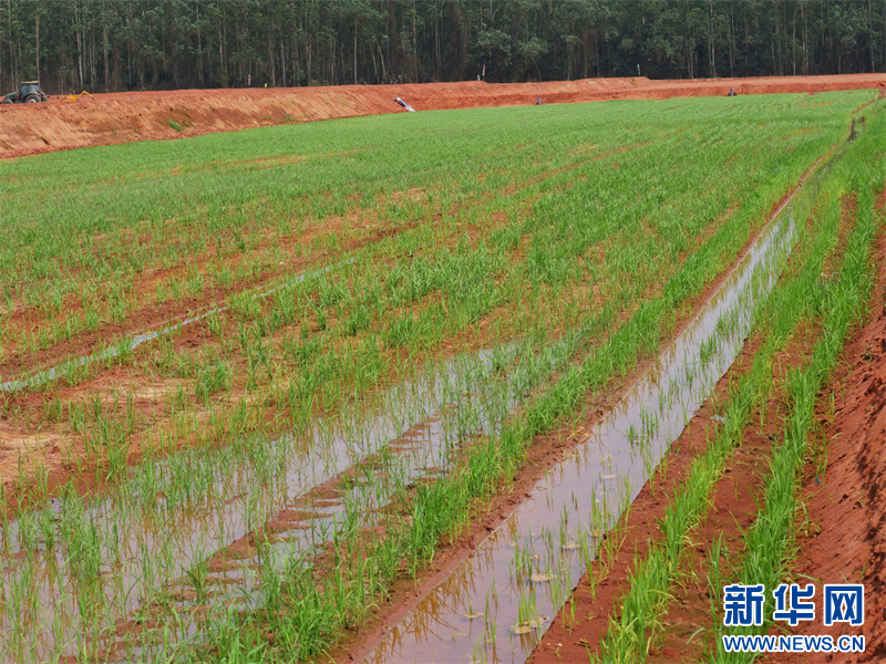 5c66c58be90923dd41cc95c8888fc722_24465b362b9e411ca9d9a205200045fc.jpg 5c66c58be90923dd41cc95c8888fc722_24465b362b9e411ca9d9a205200045fc.jpg