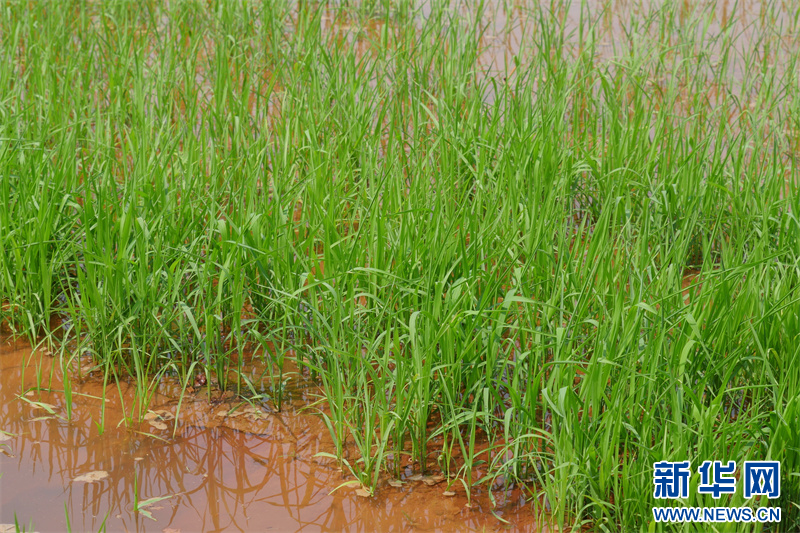 29c441a1f2a47faf531f42247eb68815_53e8bc7dd2fa424296f21599effbd7bd.jpg 29c441a1f2a47faf531f42247eb68815_53e8bc7dd2fa424296f21599effbd7bd.jpg