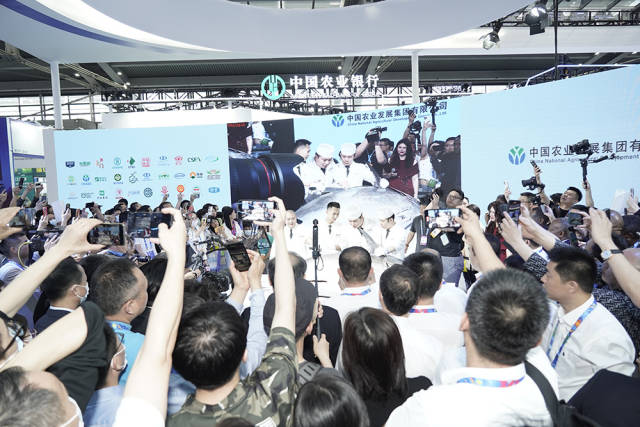 8f247944cde047fc08264e2b107146a2_w640.jpg 8f247944cde047fc08264e2b107146a2_w640.jpg