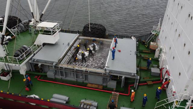 721dd4eaeee9524ddf60614f03eedce2_w640.jpg 721dd4eaeee9524ddf60614f03eedce2_w640.jpg