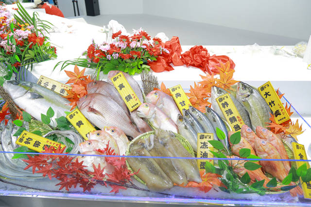 56f9b2f459f2671dd026fe950d742e5a_w640.jpg 56f9b2f459f2671dd026fe950d742e5a_w640.jpg