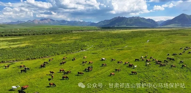 3.webp.jpg 3.webp.jpg