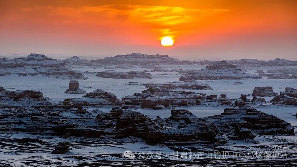 4.webp.jpg 4.webp.jpg