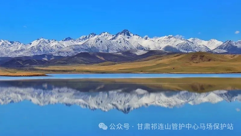 9.webp.jpg 9.webp.jpg