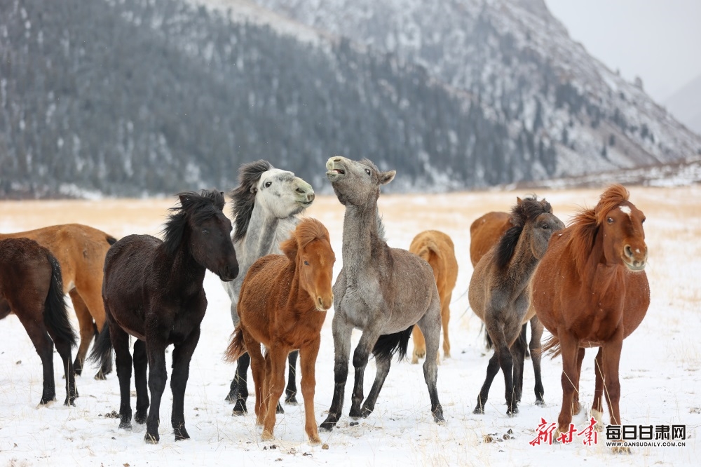 1e8ee655870e77c102314105790767ed_1715334918494074254_h=666&w=1000.jpg 1e8ee655870e77c102314105790767ed_1715334918494074254_h=666&w=1000.jpg