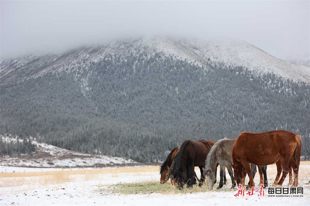 485e1c159fa26f359a47d273b22d54c3_1715334930906080555_h=666&w=1000.jpg 485e1c159fa26f359a47d273b22d54c3_1715334930906080555_h=666&w=1000.jpg