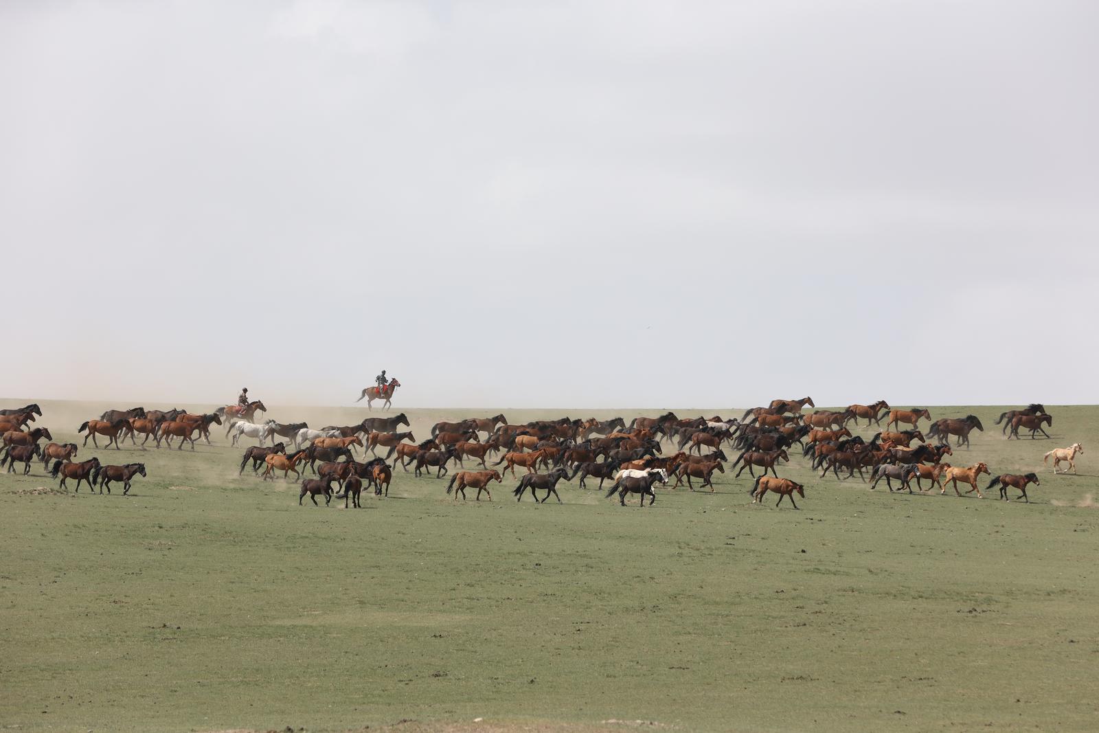 996a13490b63bd129ddb27407d86302b_2f285f1f-8749-46ca-8572-0695fdf65a42_l.jpg 996a13490b63bd129ddb27407d86302b_2f285f1f-8749-46ca-8572-0695fdf65a42_l.jpg