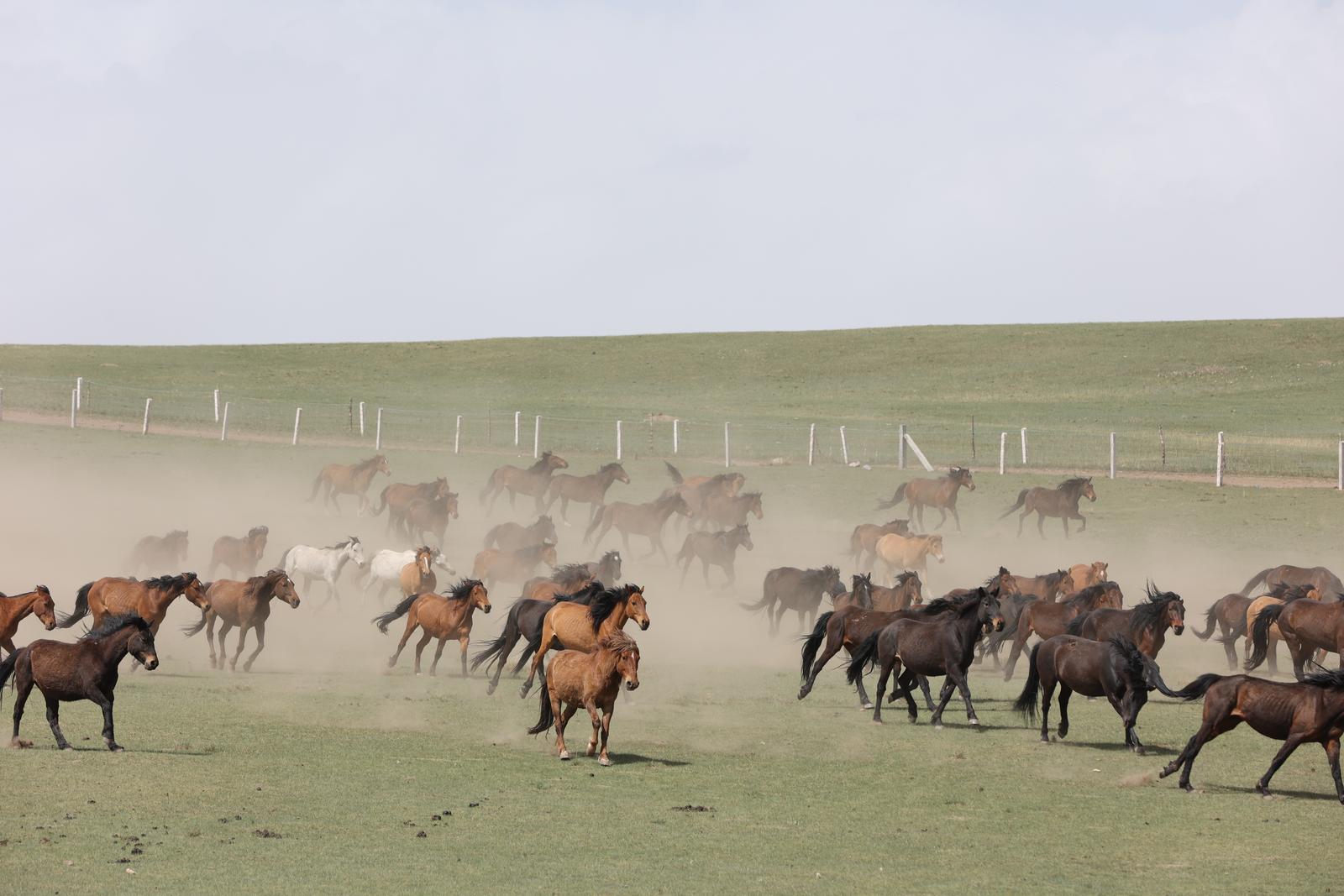 6e2f24dacde5b168c380595d92e155be_34431df6-84d5-40d8-b613-8b7cd0d50fbe_l.jpg 6e2f24dacde5b168c380595d92e155be_34431df6-84d5-40d8-b613-8b7cd0d50fbe_l.jpg