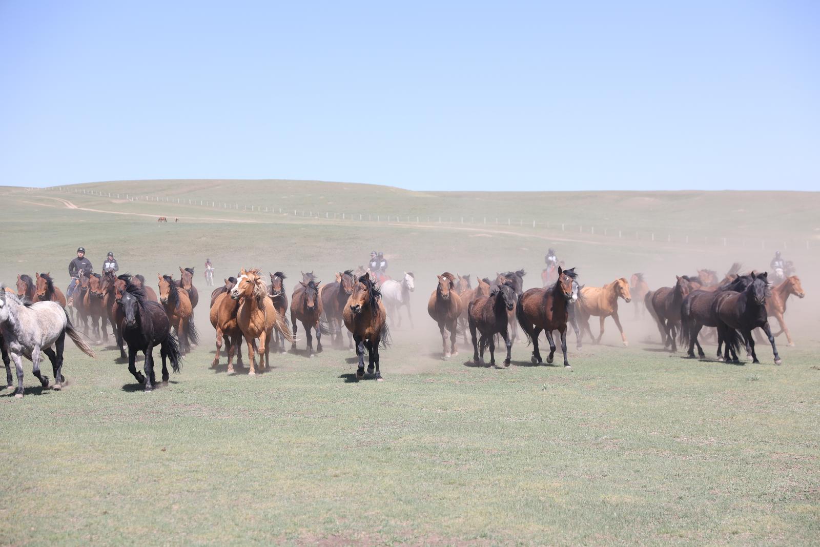 fe68fa31904c3ed9ebced90b76c7f694_d06ed953-7171-4dd7-99b0-d69f615988e6_l.jpg fe68fa31904c3ed9ebced90b76c7f694_d06ed953-7171-4dd7-99b0-d69f615988e6_l.jpg