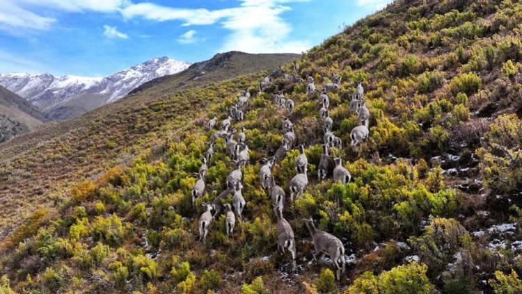 MAIN17266244796890BC47LXGR0.png MAIN17266244796890BC47LXGR0.png