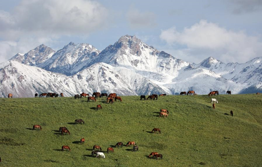 MAIN1726624497058MRKKP5ZGUT.png MAIN1726624497058MRKKP5ZGUT.png