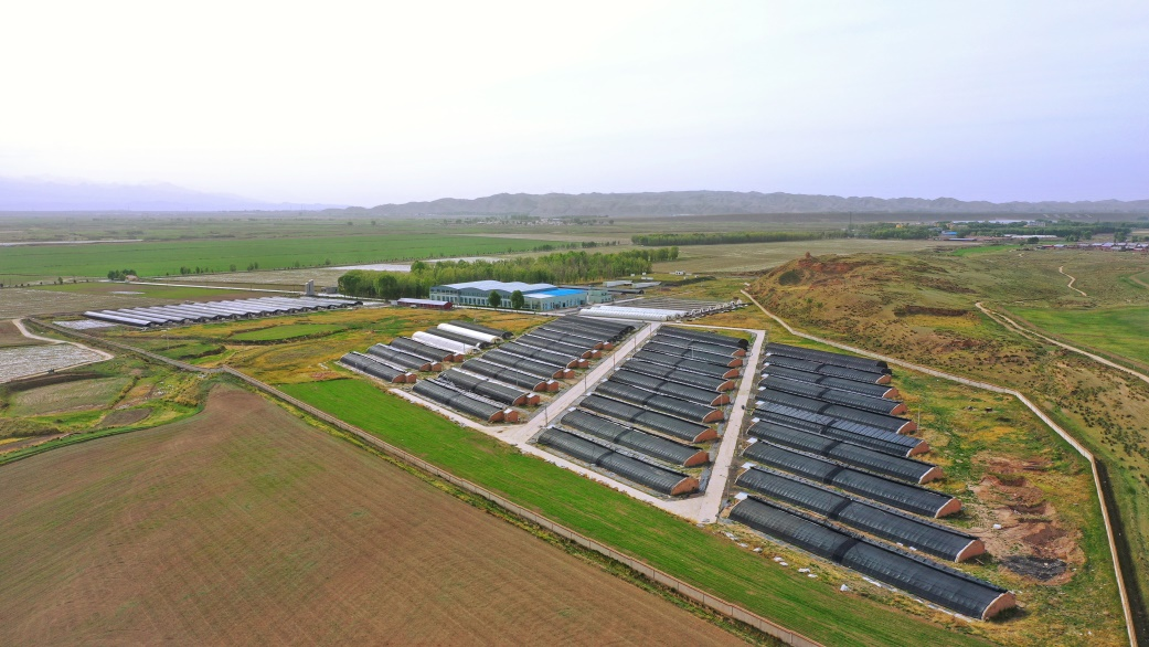 图片3.png 图片3.png