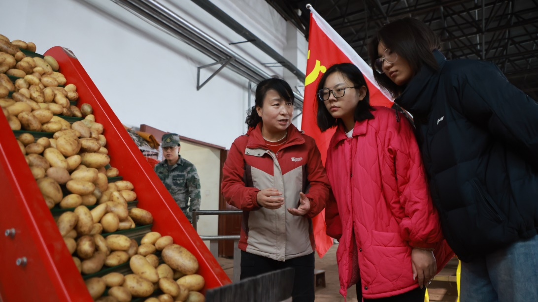 图片1.png 图片1.png