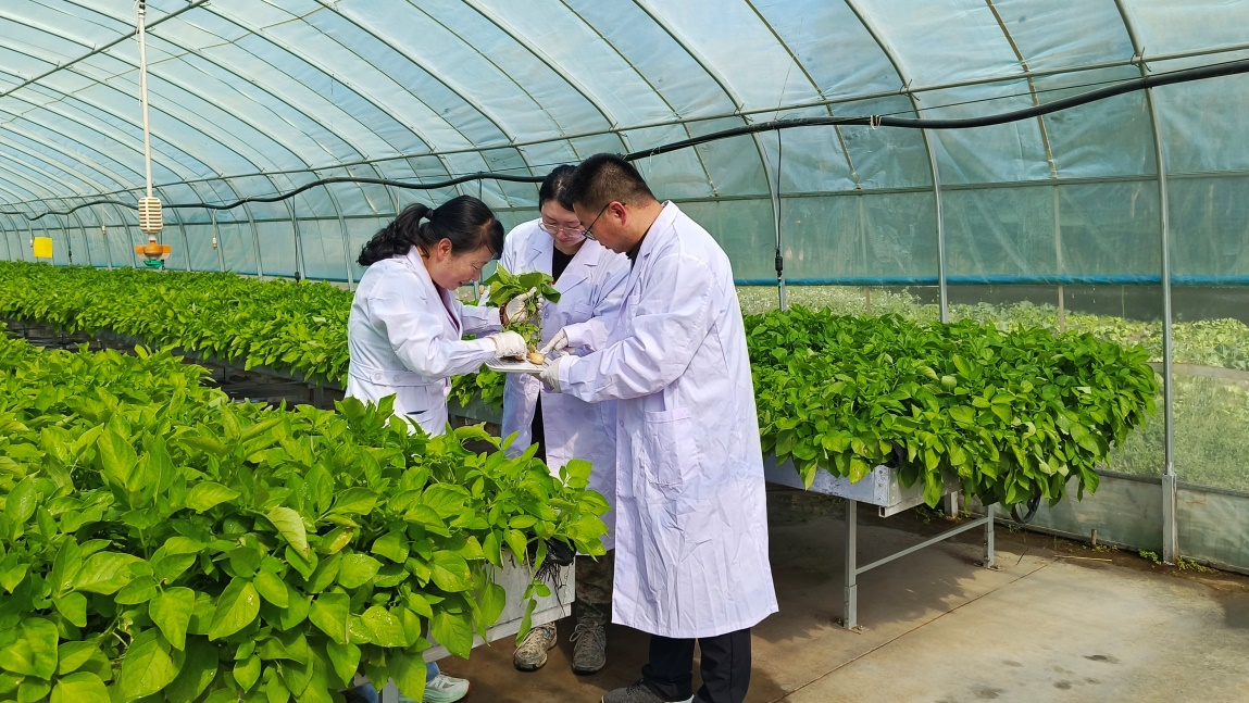 图片2.png 图片2.png