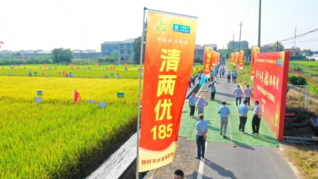 种业1.png 种业1.png