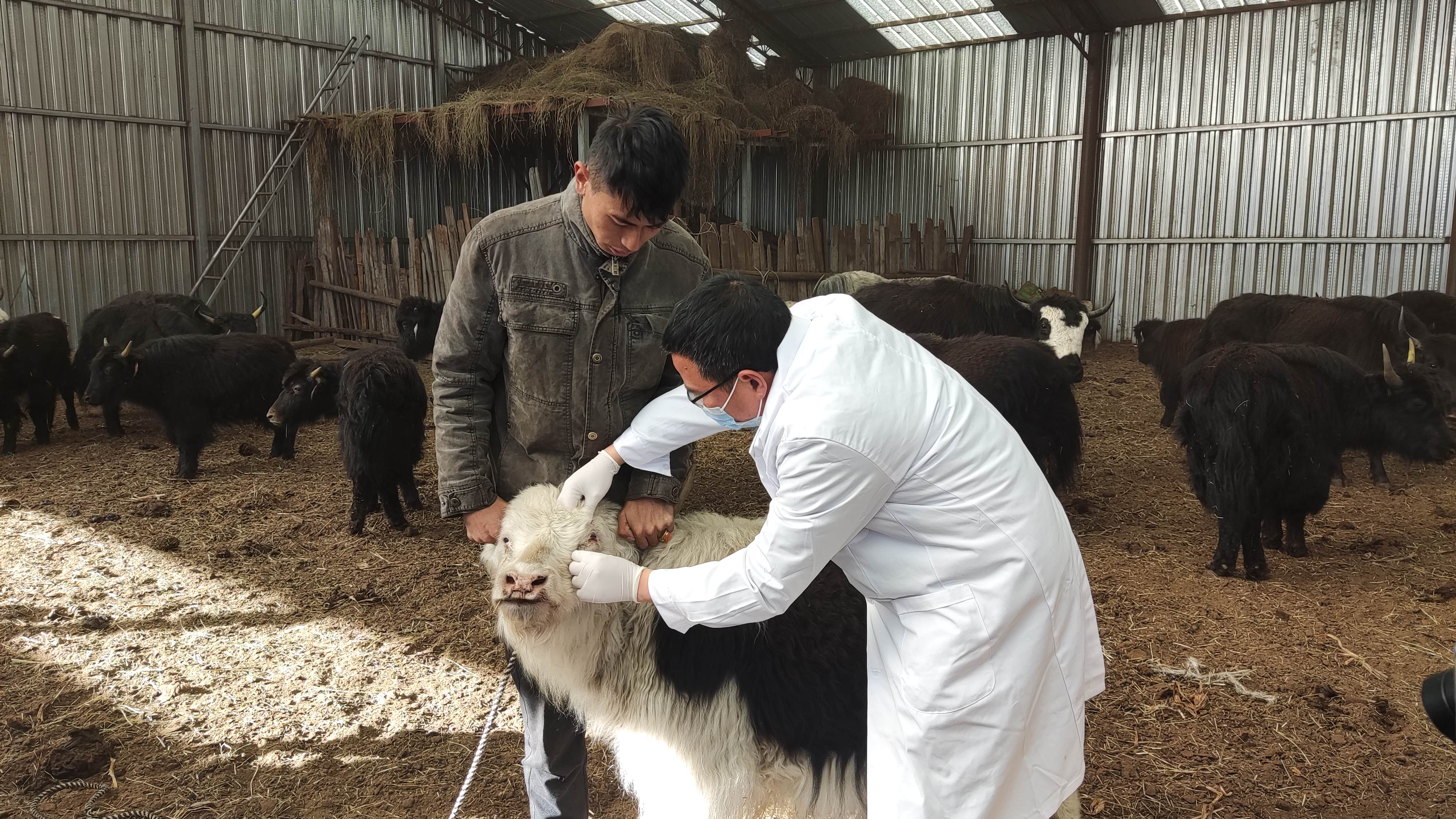 配图6.jpg 配图6.jpg