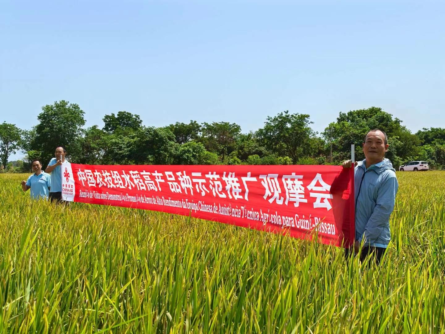 _cgi-bin_mmwebwx-bin_webwxgetmsgimg__&MsgID=1102706229349286905&skey=@crypt_20f381a4_ec7c2c8c195a666f752bec34d3ef09db&mmweb_appid=wx_webfilehelper.jpg _cgi-bin_mmwebwx-bin_webwxgetmsgimg__&MsgID=1102706229349286905&skey=@crypt_20f381a4_ec7c2c8c195a666f752bec34d3ef09db&mmweb_appid=wx_webfilehelper.jpg