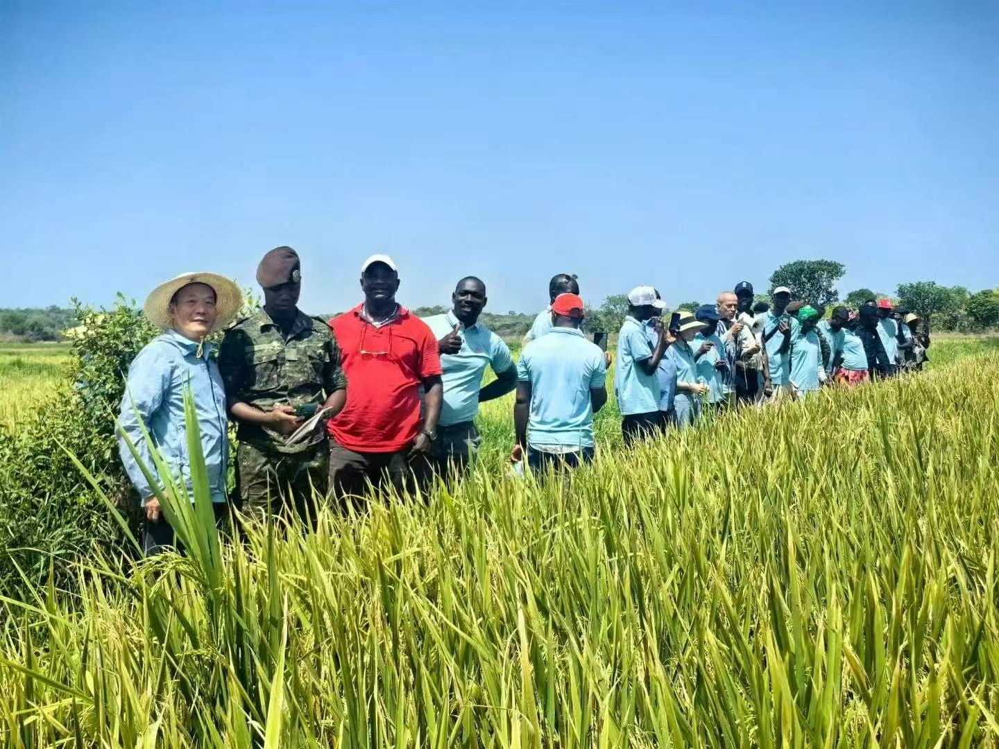 _cgi-bin_mmwebwx-bin_webwxgetmsgimg__&MsgID=2992061528359066810&skey=@crypt_20f381a4_ec7c2c8c195a666f752bec34d3ef09db&mmweb_appid=wx_webfilehelper.jpg _cgi-bin_mmwebwx-bin_webwxgetmsgimg__&MsgID=2992061528359066810&skey=@crypt_20f381a4_ec7c2c8c195a666f752bec34d3ef09db&mmweb_appid=wx_webfilehelper.jpg