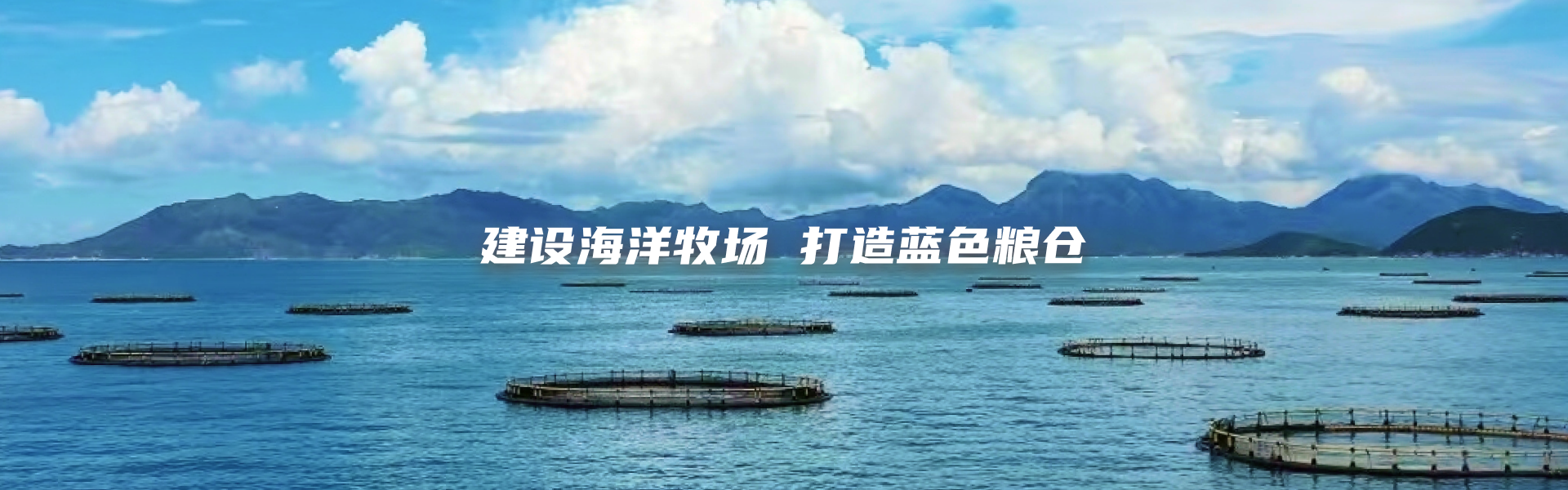 建设海洋收场 打造蓝色粮仓