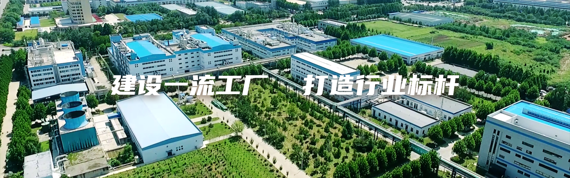 畜牧业胜利生物：建设一流企业 打造一流工厂