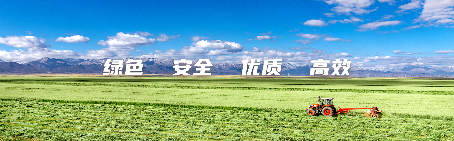 绿色  优质  安全  高效