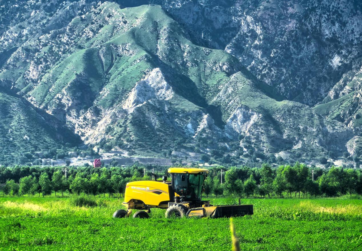 图片7.png 图片7.png