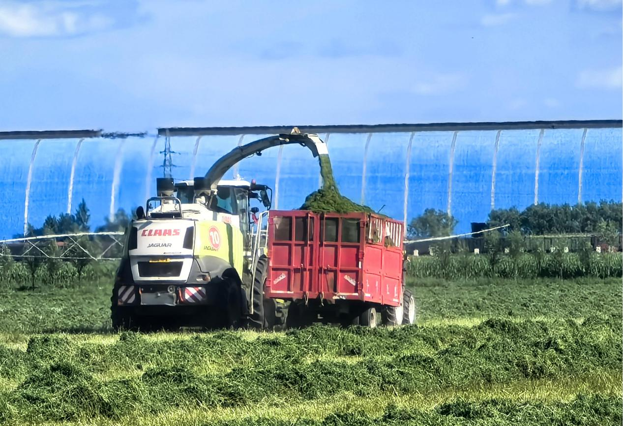 图片8.png 图片8.png