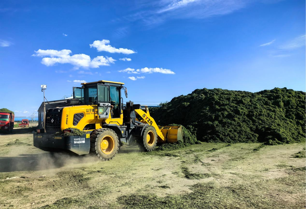 图片9.png 图片9.png