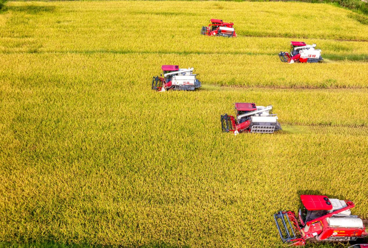 图片4.png 图片4.png