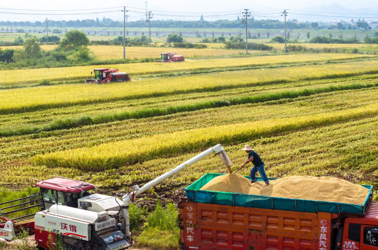 图片5.png 图片5.png