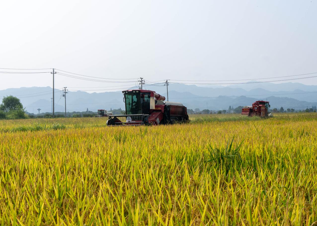 图片6.png 图片6.png