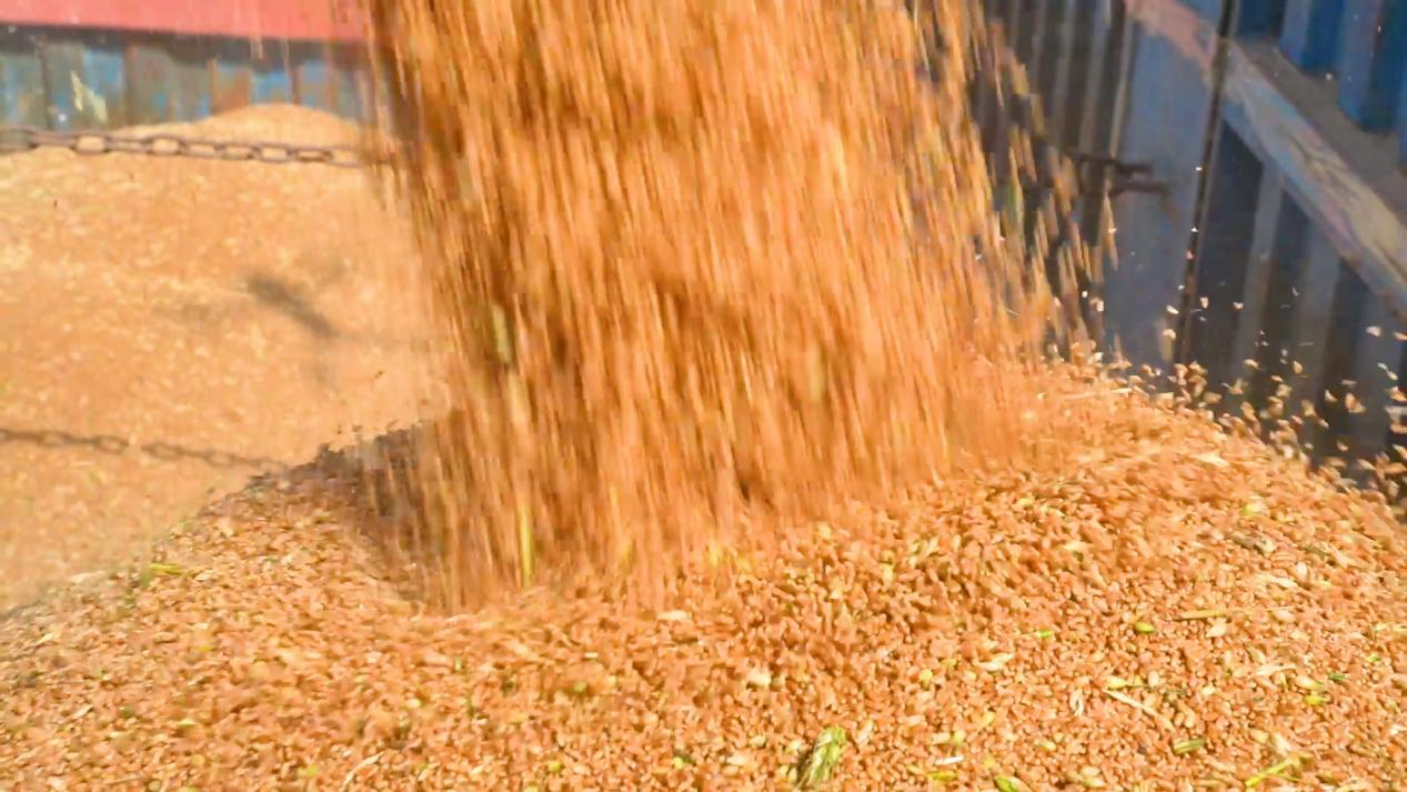 图片2.png 图片2.png