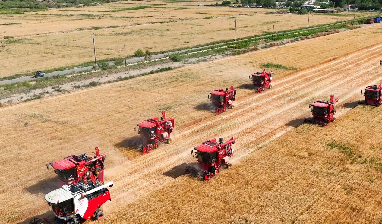 图片3.png 图片3.png