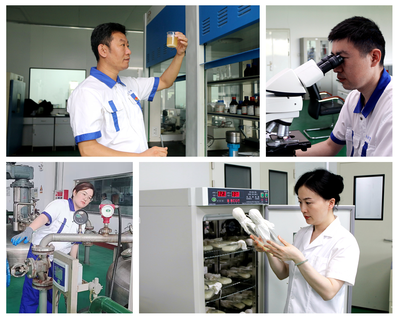 02一个劳模一面旗帜配图.png 02一个劳模一面旗帜配图.png