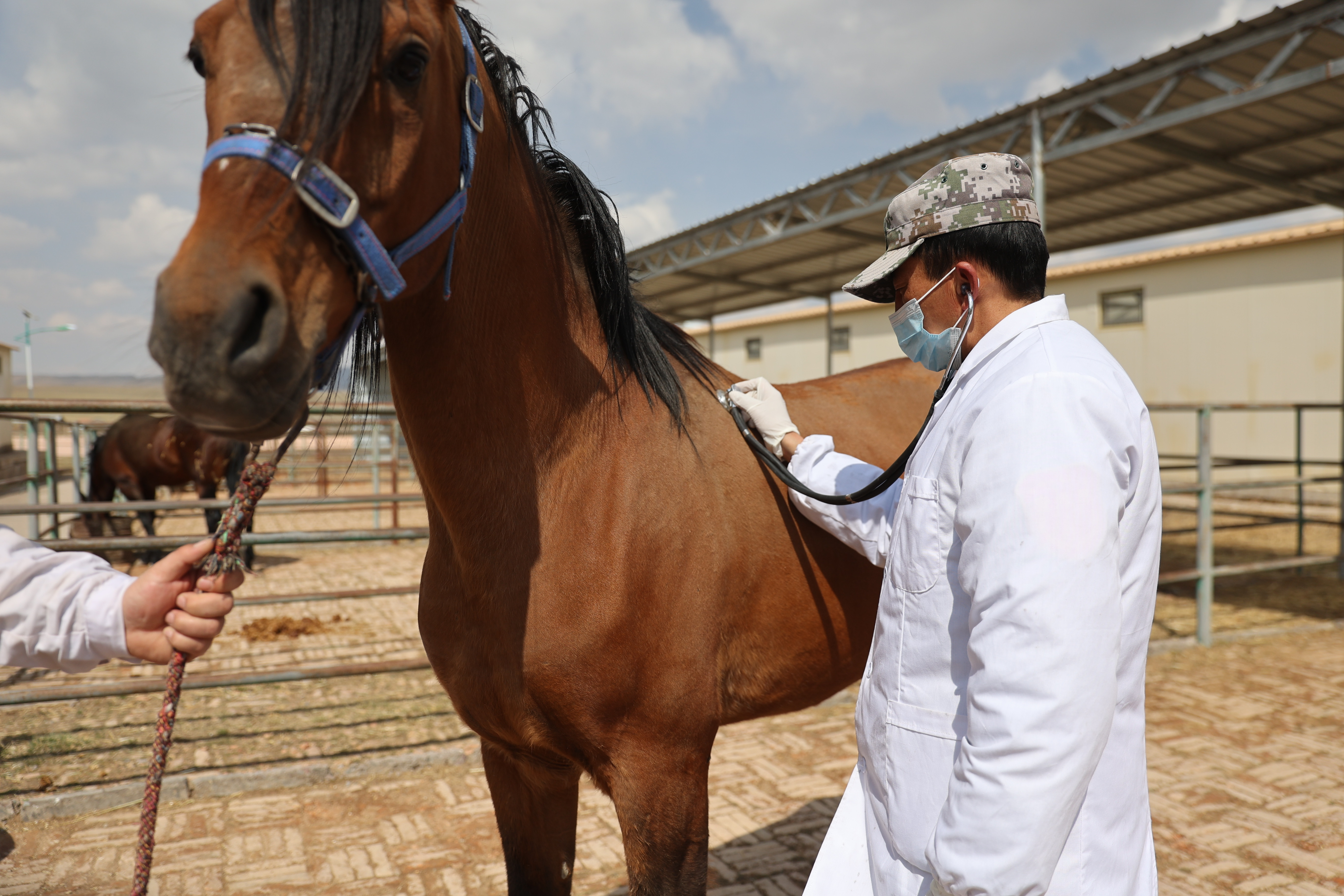 cb9ebb698153c878f0818995830c69f1.png cb9ebb698153c878f0818995830c69f1.png