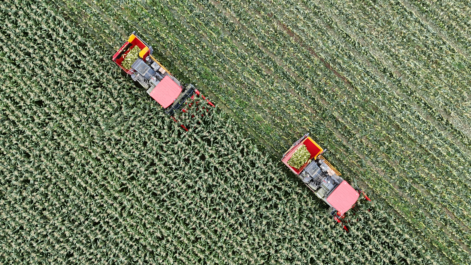 _cgi-bin_mmwebwx-bin_webwxgetmsgimg__&MsgID=8406616936998741036&skey=@crypt_20f381a4_5adb7edc6183e16d8f11eb244514c678&mmweb_appid=wx_webfilehelper.jpg _cgi-bin_mmwebwx-bin_webwxgetmsgimg__&MsgID=8406616936998741036&skey=@crypt_20f381a4_5adb7edc6183e16d8f11eb244514c678&mmweb_appid=wx_webfilehelper.jpg