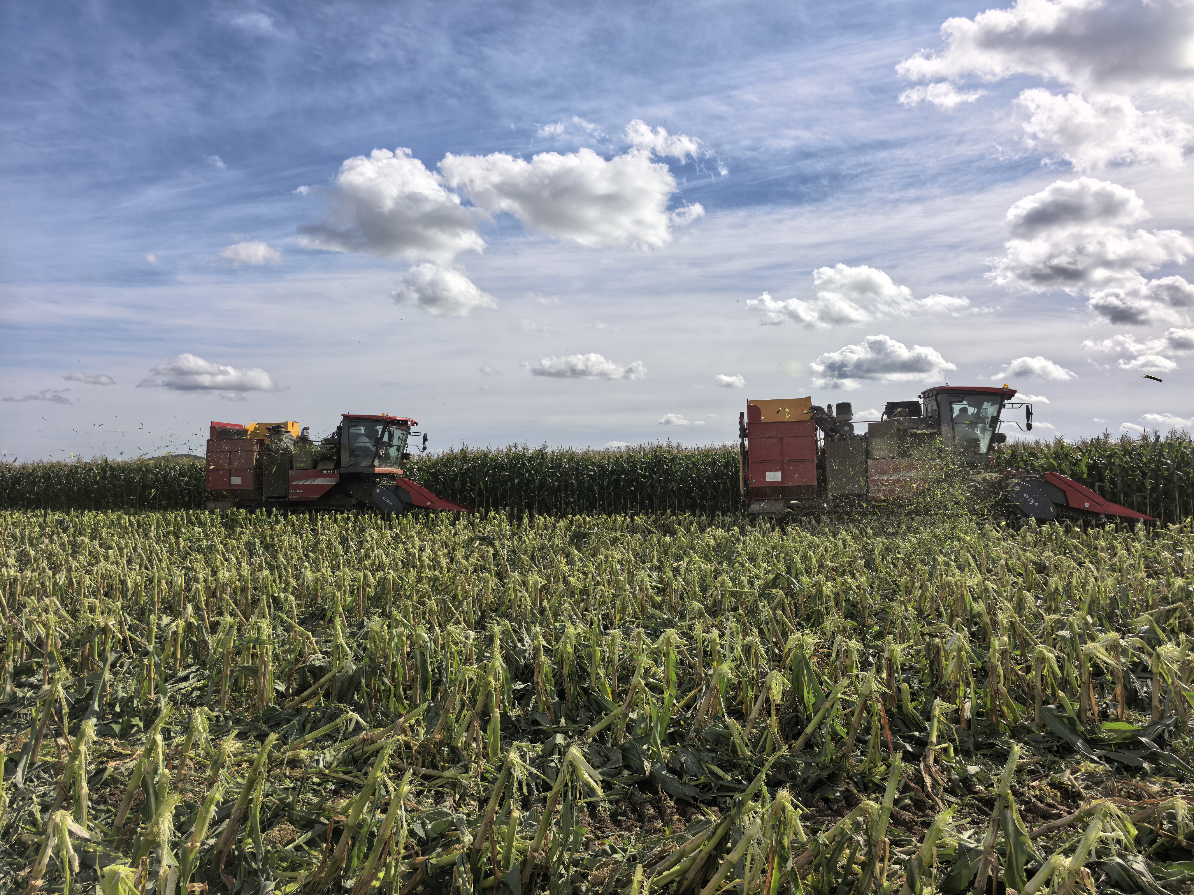 微信图片_20250829083708_22_377.jpg 微信图片_20250829083708_22_377.jpg