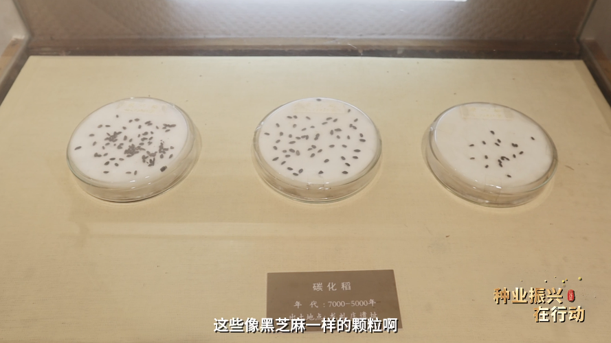 图片3.png 图片3.png