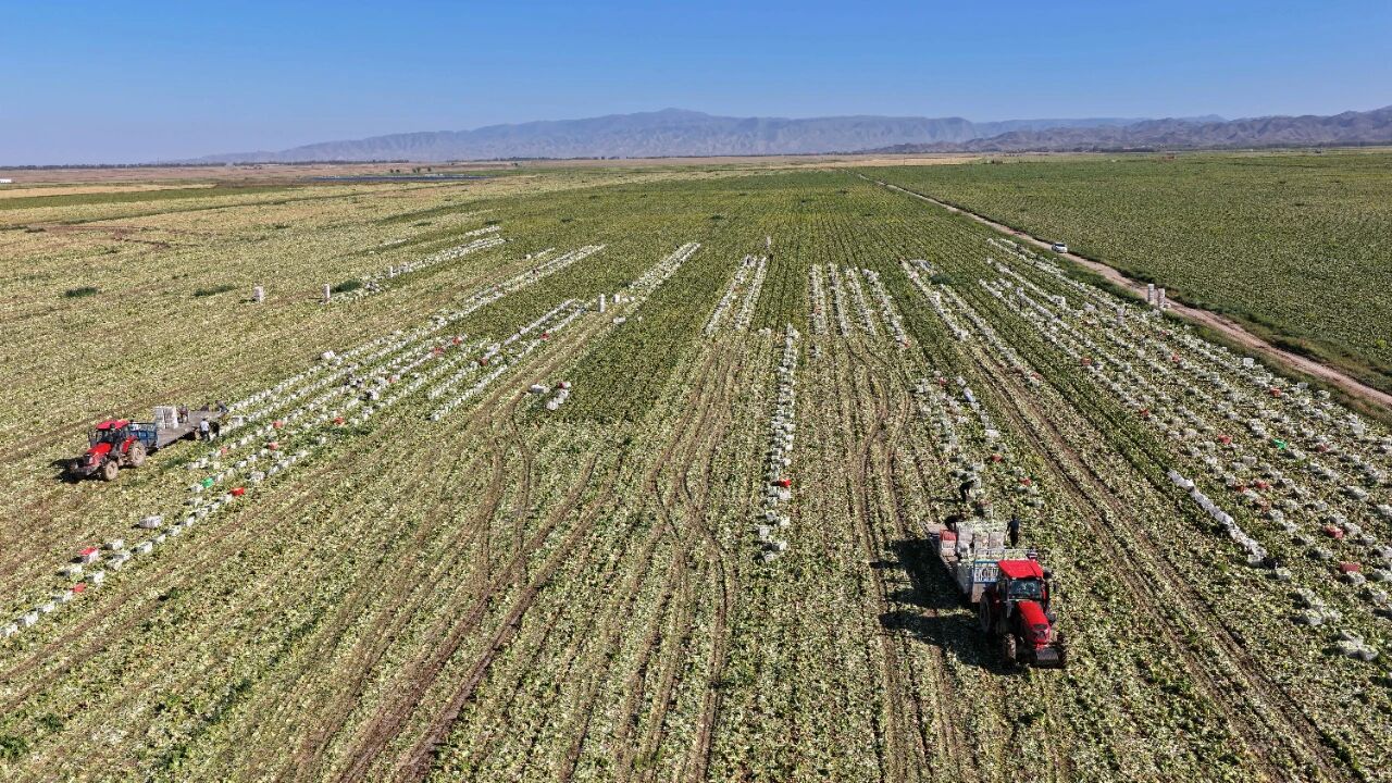 微信图片_2025-09-28_101232_130.jpg 微信图片_2025-09-28_101232_130.jpg