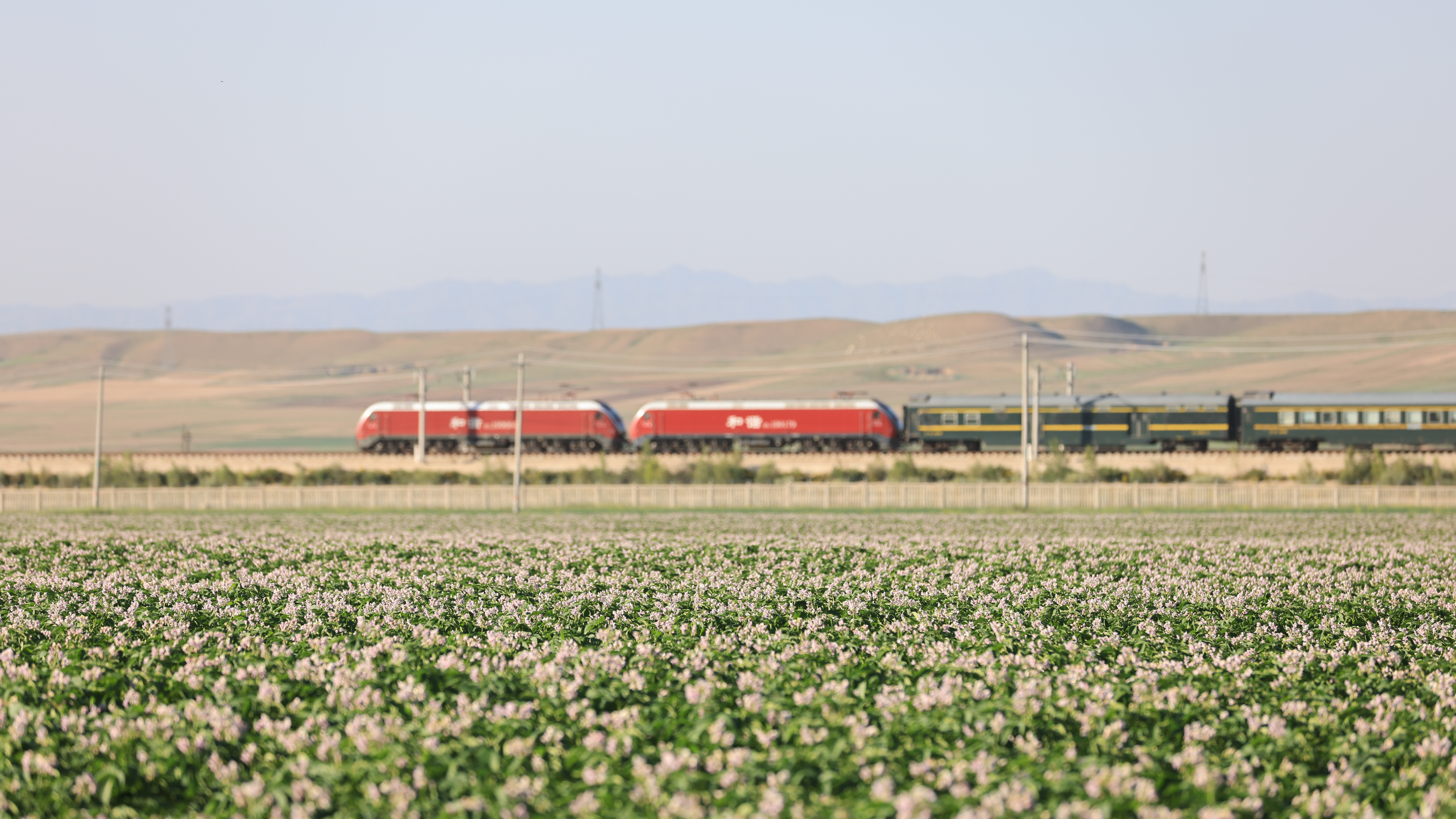 dda19882dfd66455f407a0f409938471.jpg dda19882dfd66455f407a0f409938471.jpg