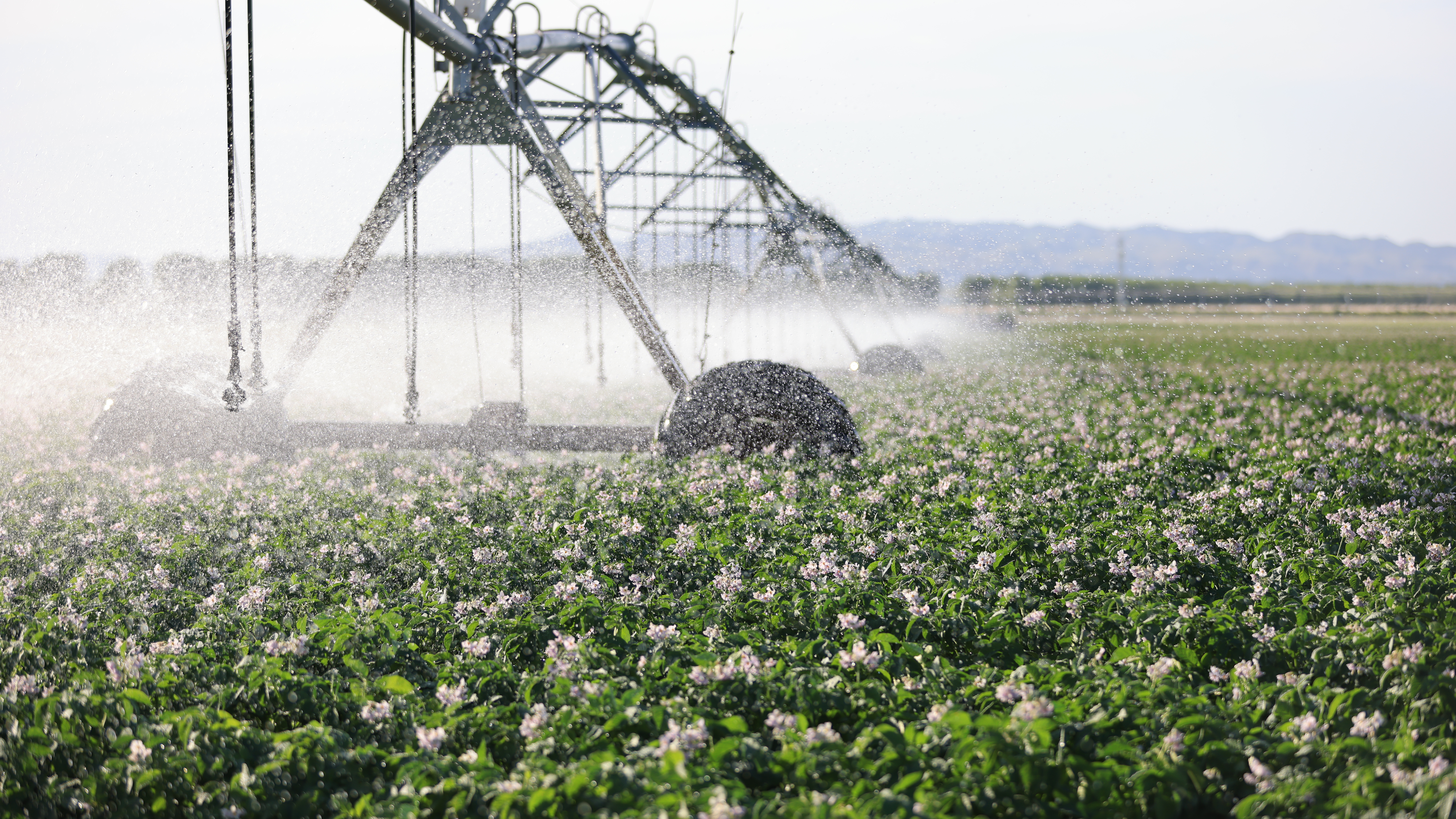 735bd40d21713b2355a31b62c081b39c.jpg 735bd40d21713b2355a31b62c081b39c.jpg