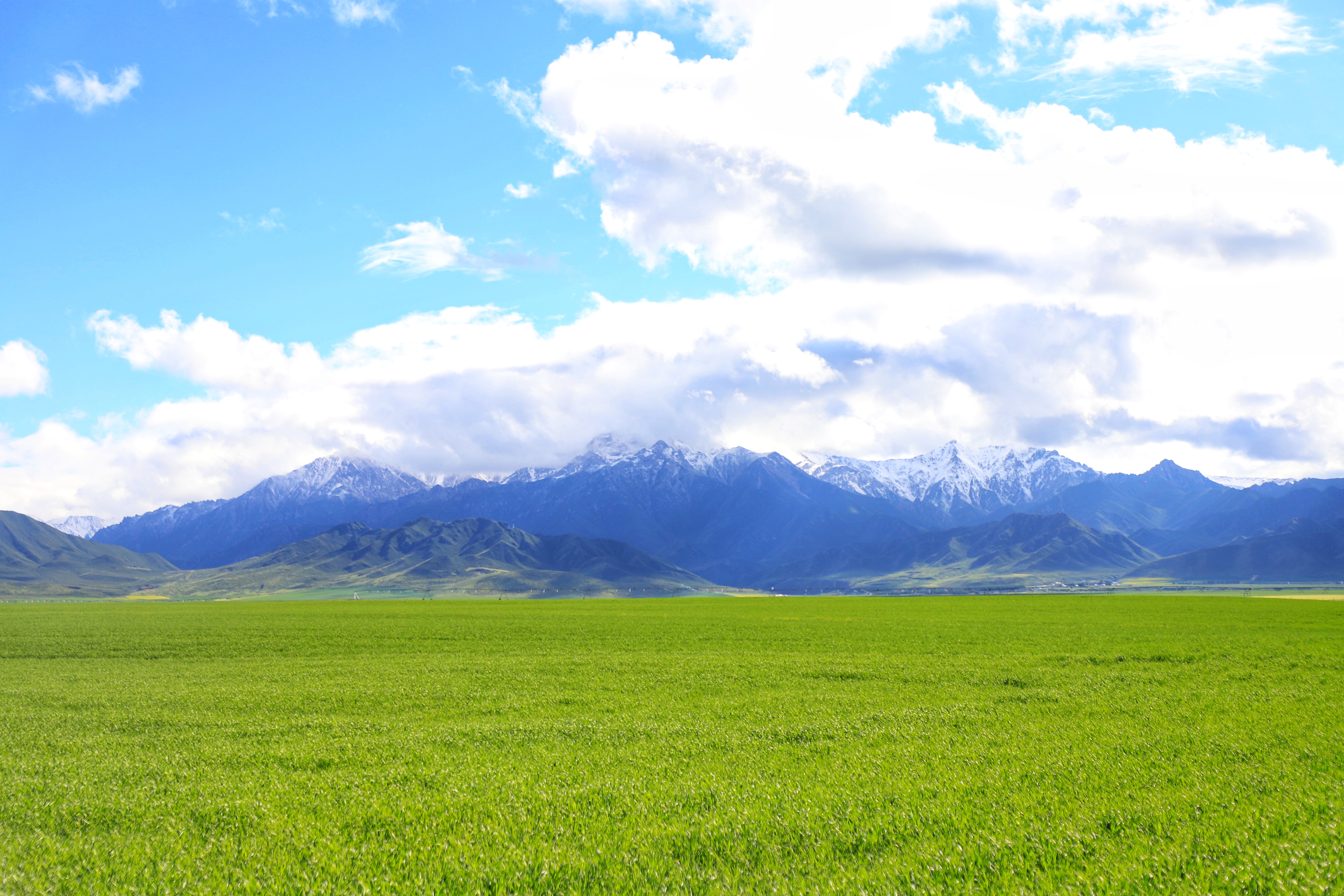 66ba365f8a5fec713a3201d35a67117f.jpg 66ba365f8a5fec713a3201d35a67117f.jpg